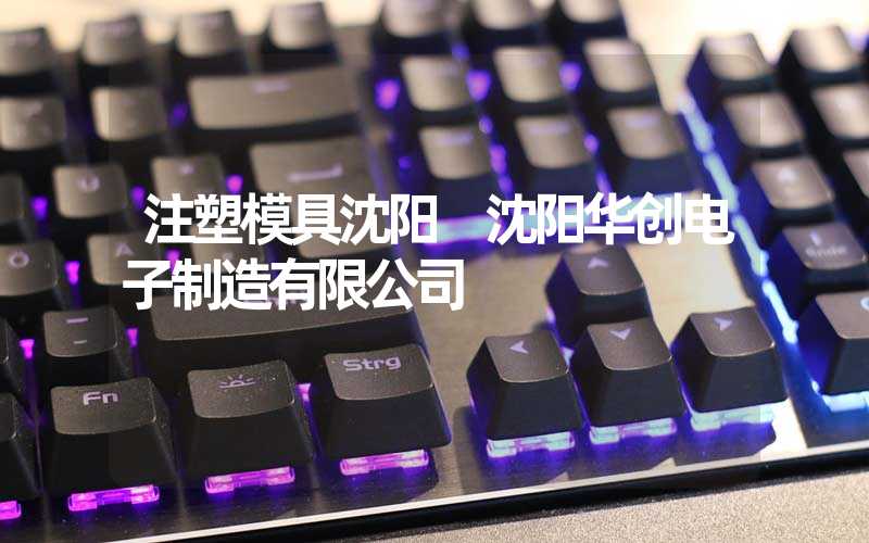 注塑模具沈阳 沈阳华创电子制造有限公司